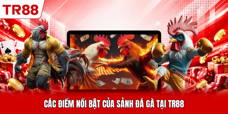 Các điểm nổi bật của sảnh đá gà tại TR88