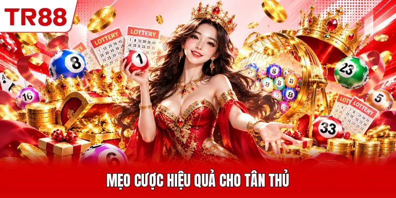 Mẹo cược hiệu quả cho tân thủ