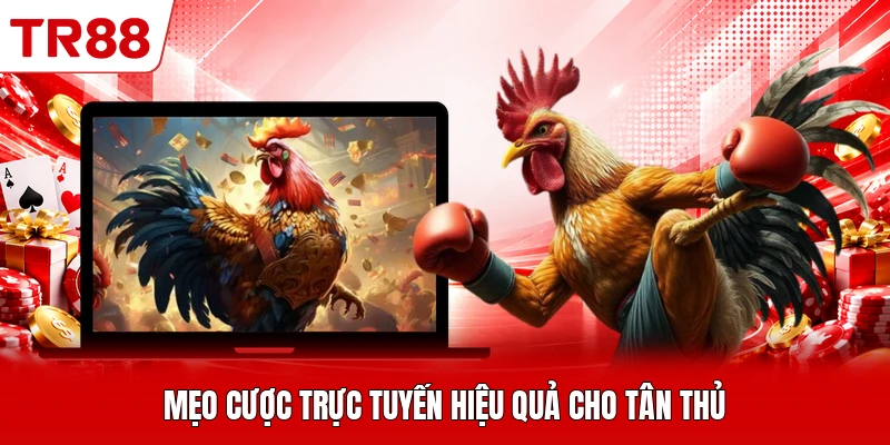 Mẹo cược trực tuyến hiệu quả cho tân thủ