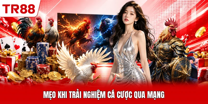 Mẹo khi trải nghiệm cá cược qua mạng