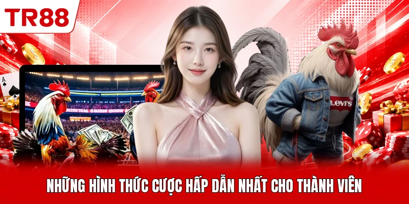 Những hình thức cược hấp dẫn nhất cho thành viên