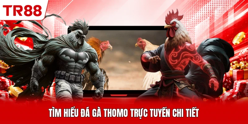 Tìm hiểu đá gà Thomo trực tuyến chi tiết