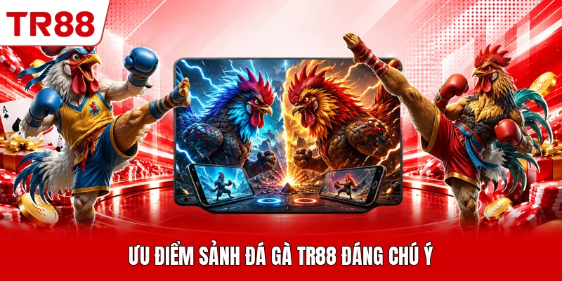 Ưu điểm sảnh đá gà TR88 đáng chú ý